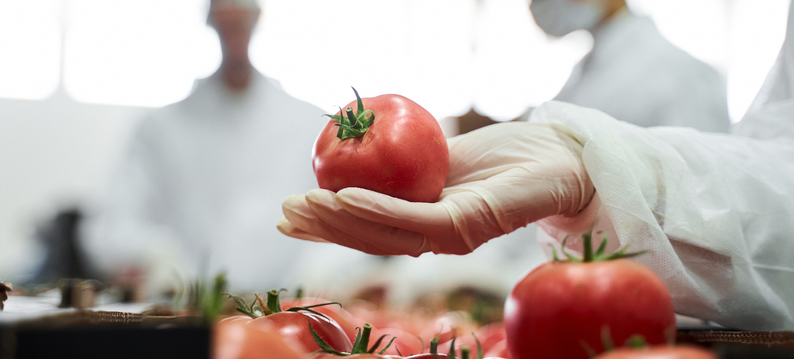 controle-de-estoque-indútria-de-alimentos-e-bebidas