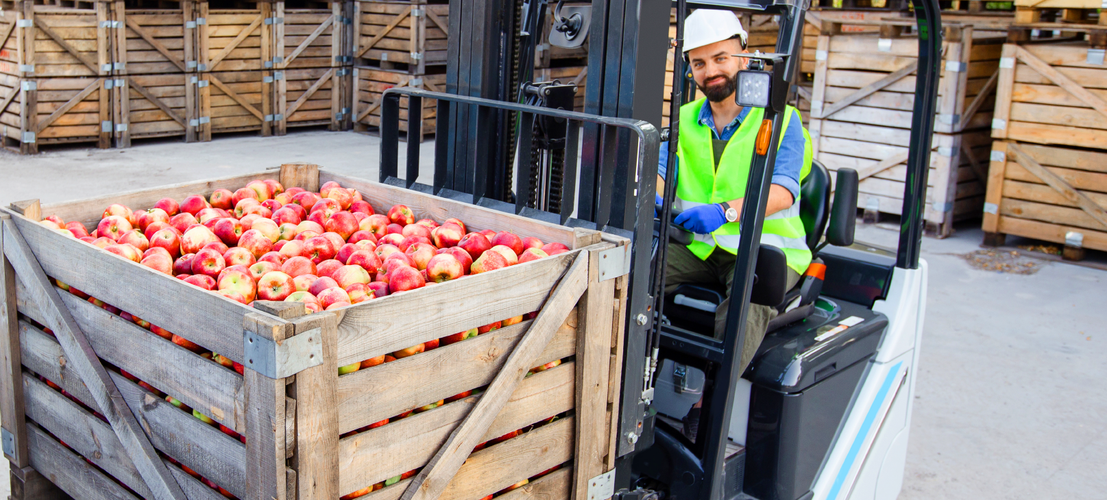 Segurança alimentar: Qual é o impacto da gestão eficiente da cadeia de suprimentos?