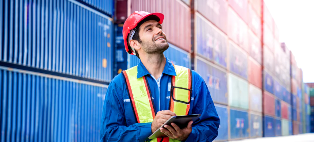 Artigo DUIMP V2 capa