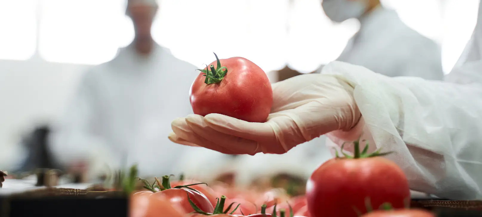 Artigo Alimentos e Bebidas Controle de estoque 01