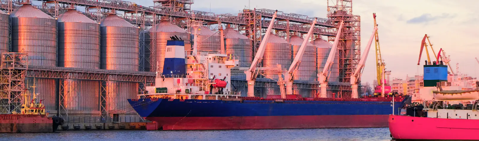 Artigo IPP cadeia produtiva alimentos e bebidas 03